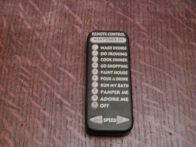 Rescued attachment remote small.JPG